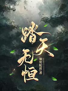 踏天龙皇小说